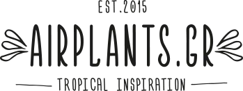 airplants.gr Logo